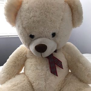 Giant Teddy! 🧸